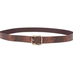 Accessoires><noscript><img width=