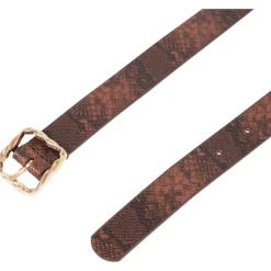 Accessoires><noscript><img width=