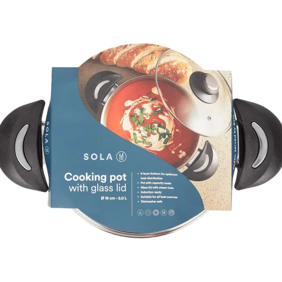 Pannen>Sola Kookpan Met Glazen Deksel Zilver
