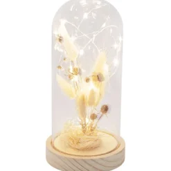Woonaccessoires><noscript><img width=