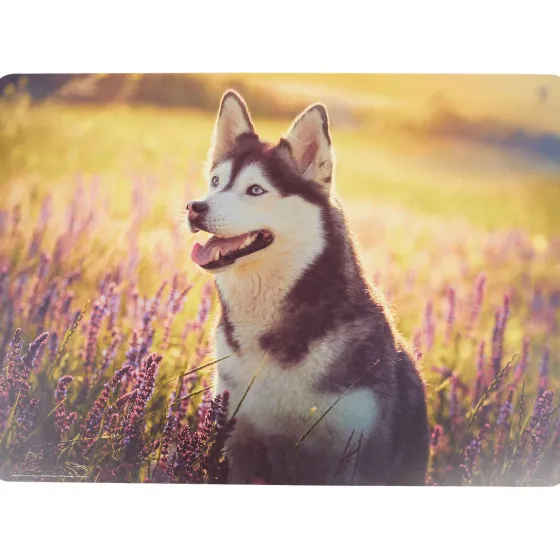 Placemats>Royal Talens Teken- En Knutselplacemat Print