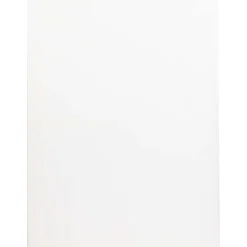 Schilderen>Van Bleiswijck Schildersdoek Wit